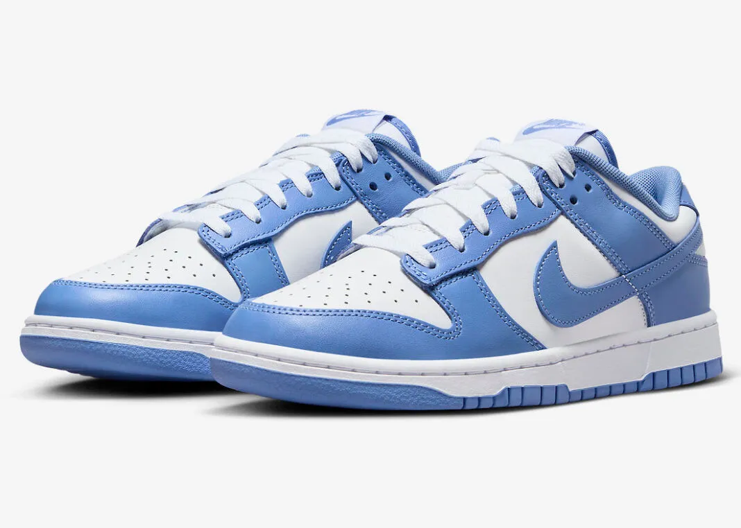 Nike SB Dunk Low Polar Blue White DV0833-400